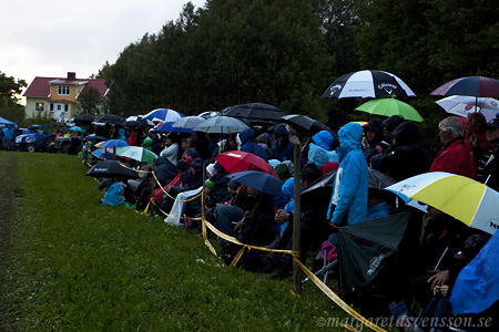 Tävlingens publik med uppfällda paraplyer.