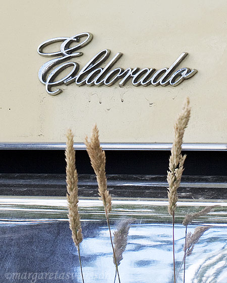 Detalj på en cremefärgad Eldoradobil